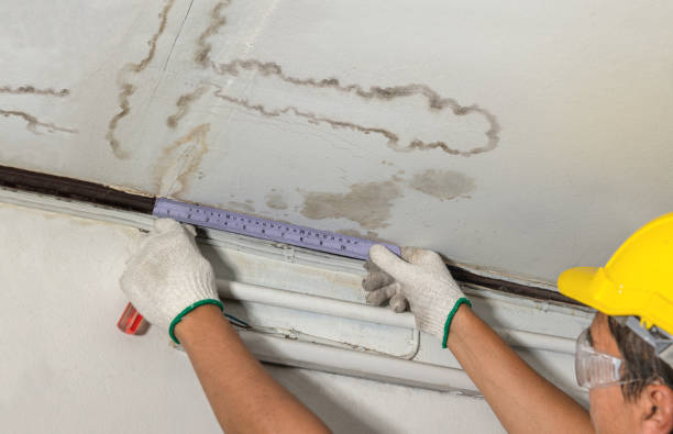 Reliable Sewage Cleanup contractor in Metuchen, NJ by Water Damage Irwin